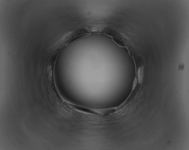 X0000089661443200707191638