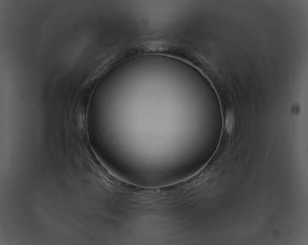 X0000089661444200707191638