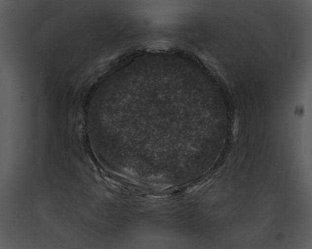 X0000089661445200707191638