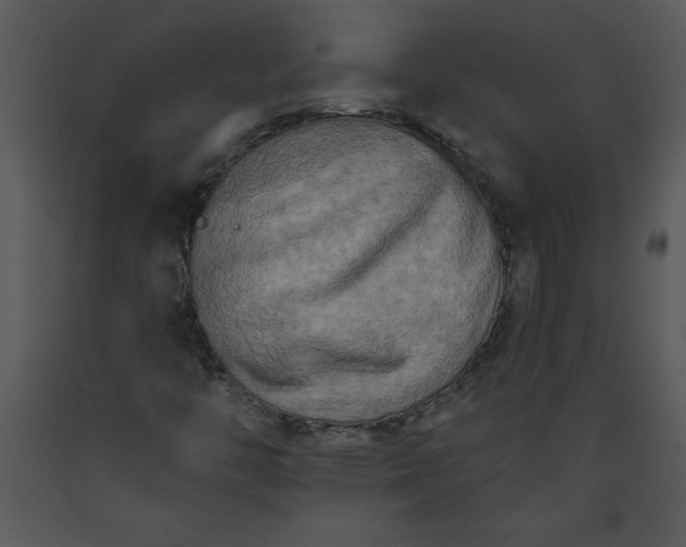 X0000089661446200707191638