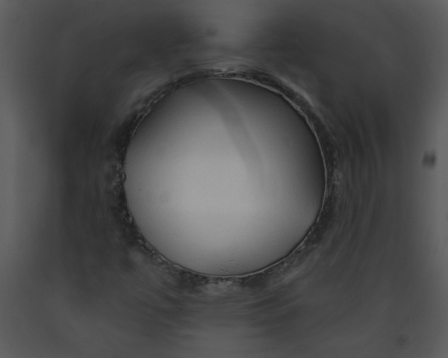 X0000089661447200707191638