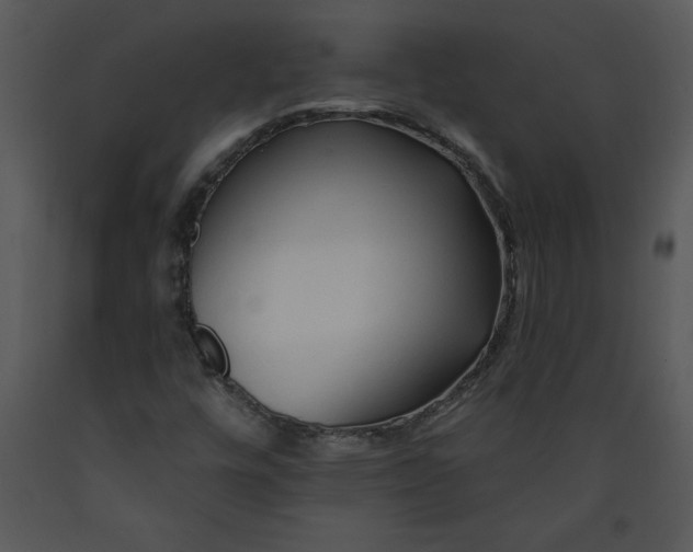 X0000089661448200707191638