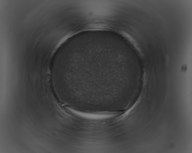 X0000089661449200707191638