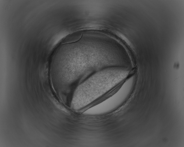 X0000089661450200707191638