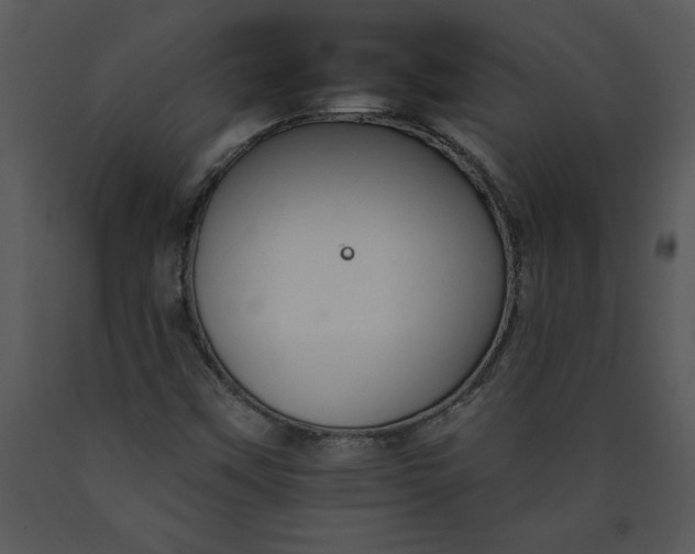 X0000089661451200707191638