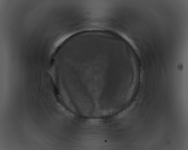 X0000089661453200707191638