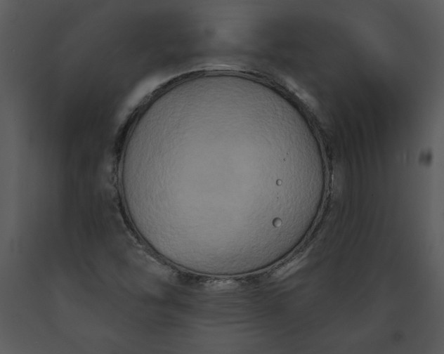 X0000089661454200707191638