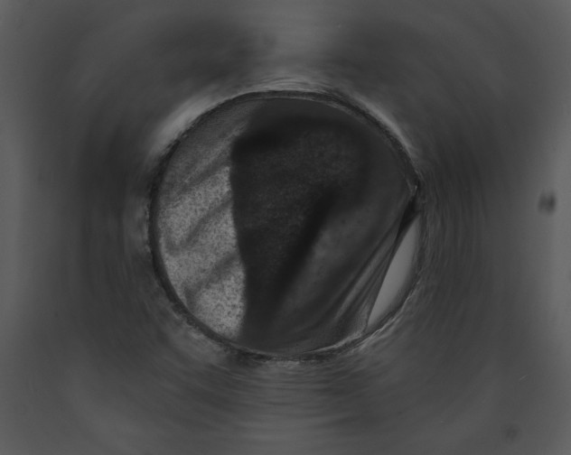 X0000089661455200707191638