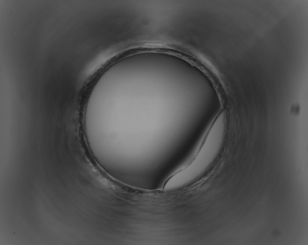 X0000089661456200707191638