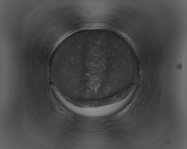 X0000089661457200707191638