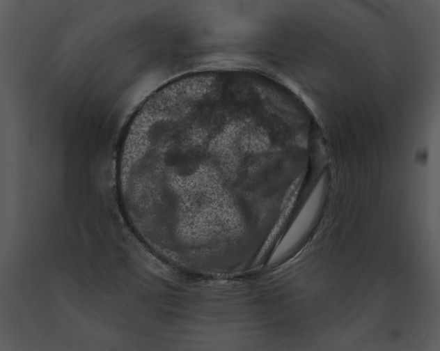 X0000089661459200707191638