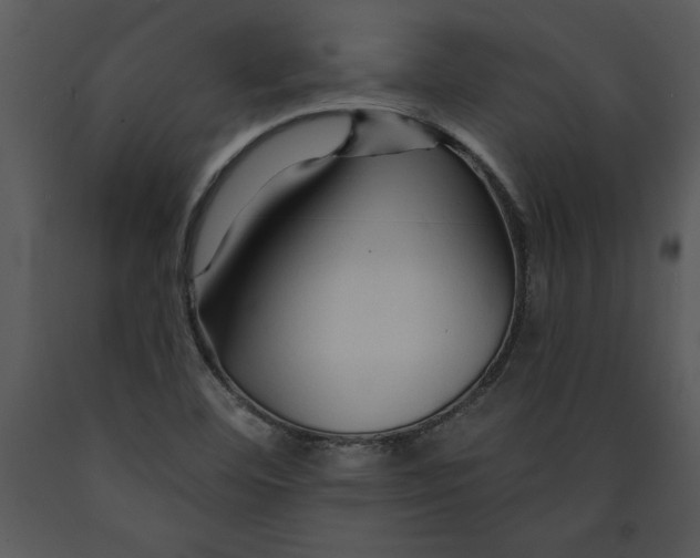 X0000089661460200707191638