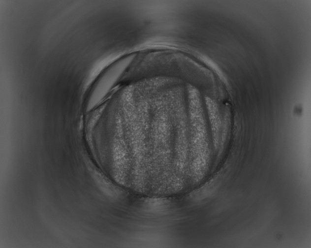 X0000089661461200707191638