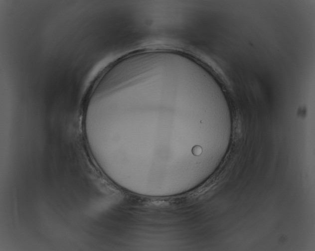 X0000089661462200707191638