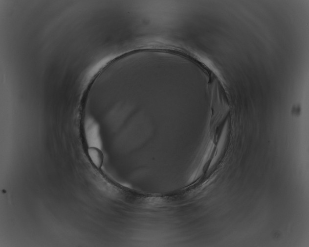 X0000089661463200707191638