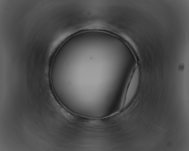 X0000089661464200707191638
