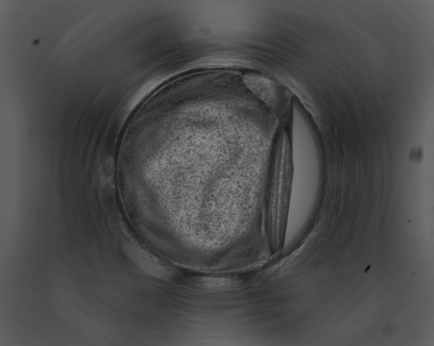 X0000089661465200707191638