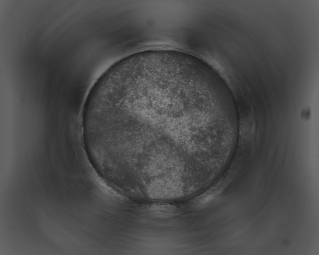 X0000089661466200707191638