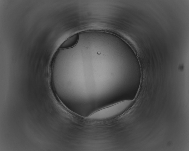 X0000089661467200707191638