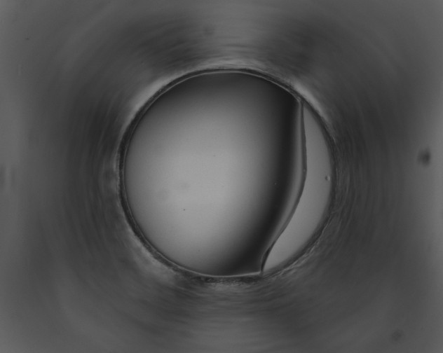 X0000089661468200707191637