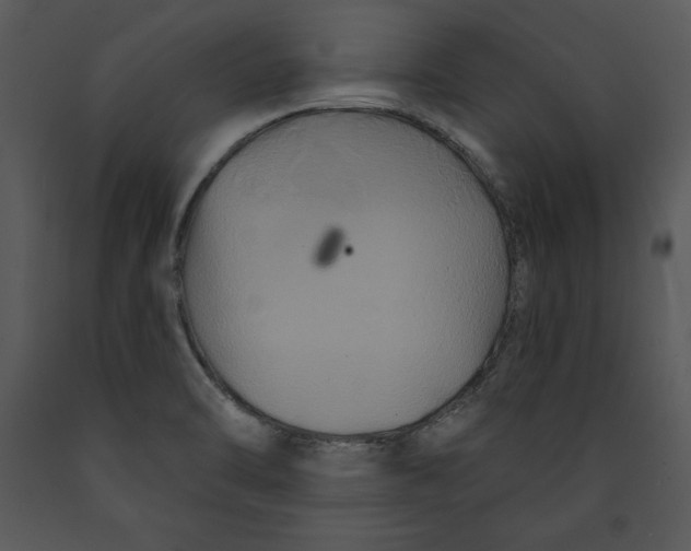 X0000089661470200707191637