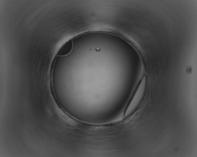 X0000089661471200707191637