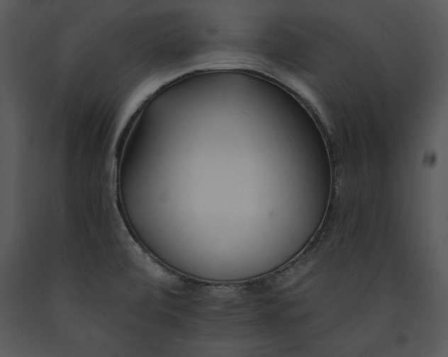 X0000089661472200707191637