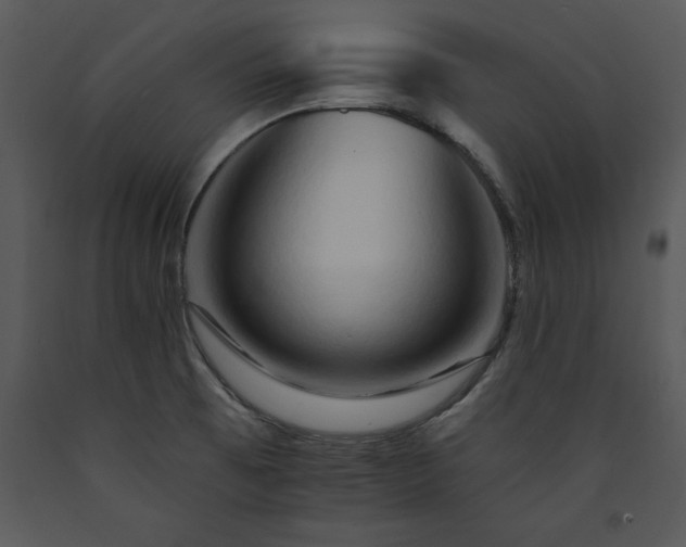 X0000089661473200707191637