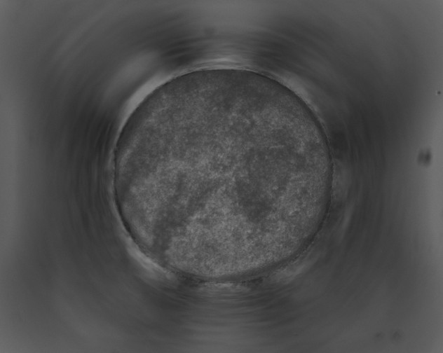 X0000089661474200707191637