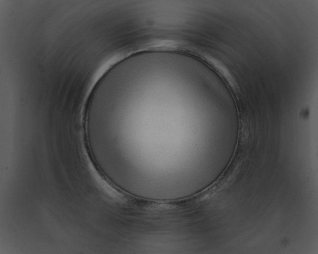 X0000089661475200707191637