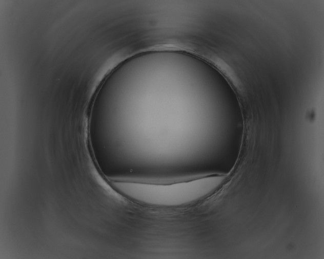 X0000089661476200707191637