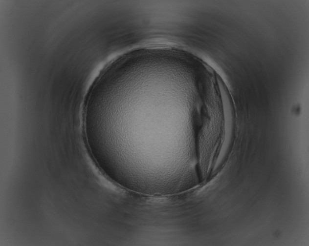 X0000089661477200707191637