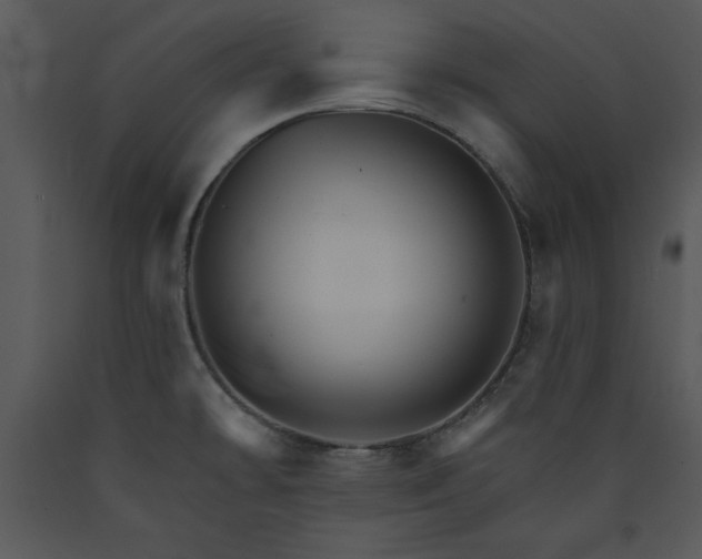 X0000089661478200707191637