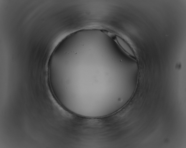 X0000089661479200707191637