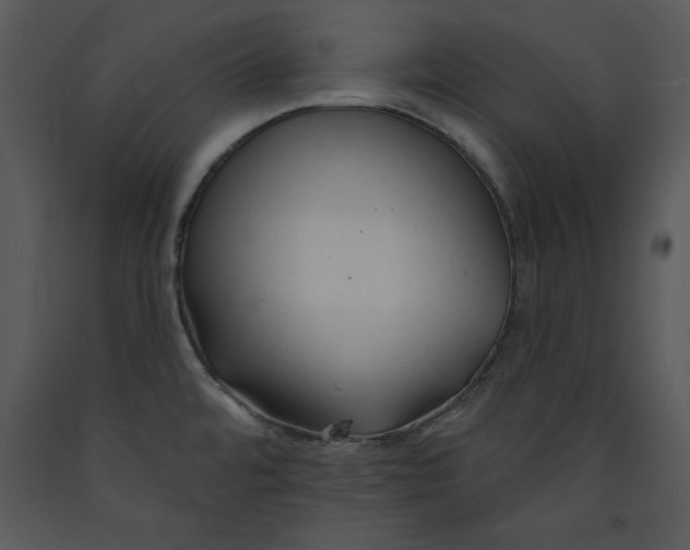 X0000089661480200707191637