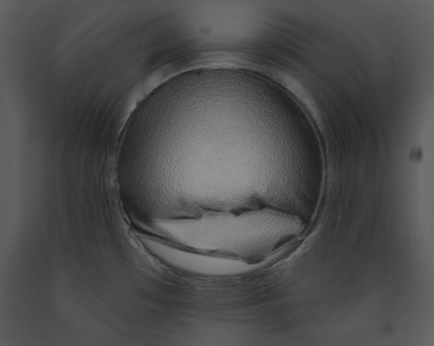 X0000089661481200707191637