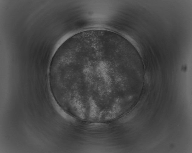 X0000089661482200707191637