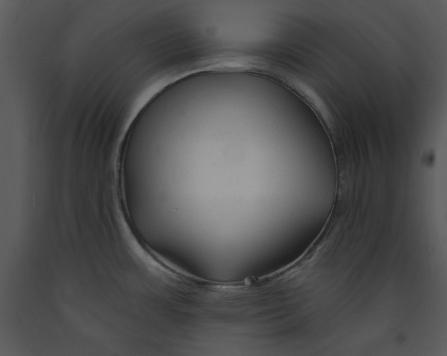 X0000089661483200707191637