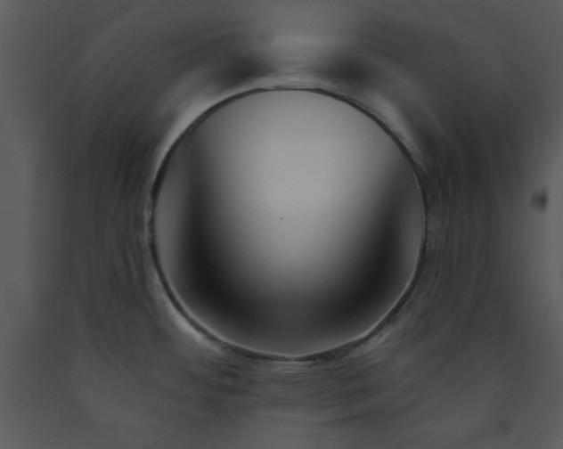 X0000089661484200707191637