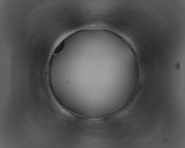 X0000089661486200707191637