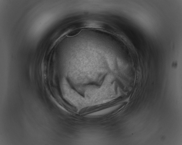 X0000089661487200707191637