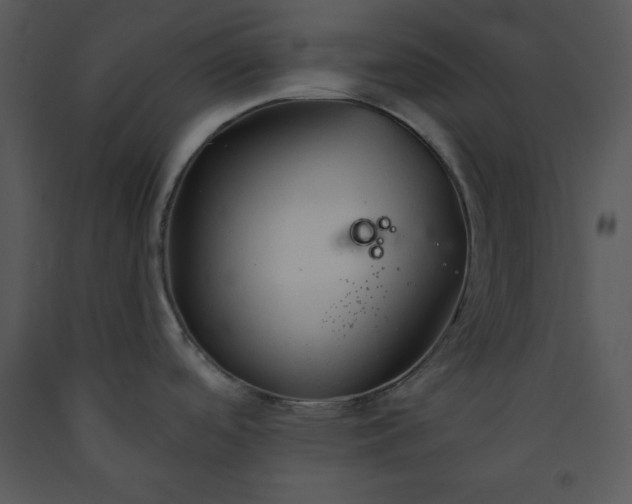 X0000089661488200707191637