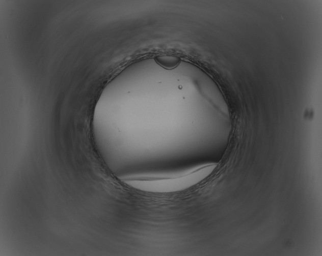 X0000089661489200707191637