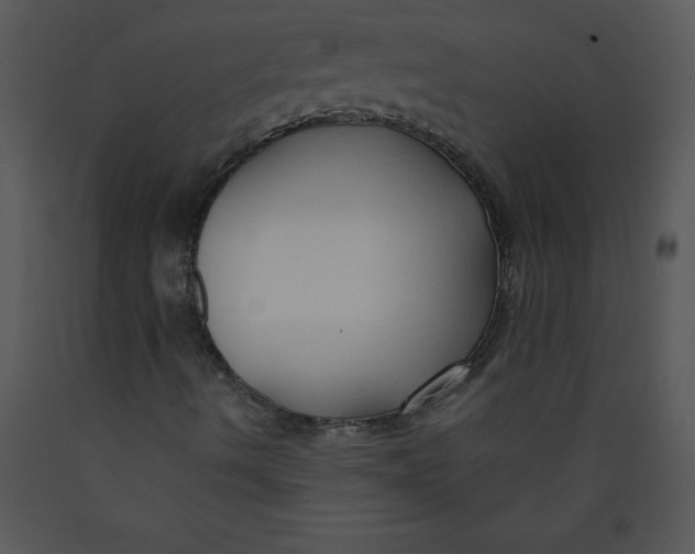 X0000089661490200707191637