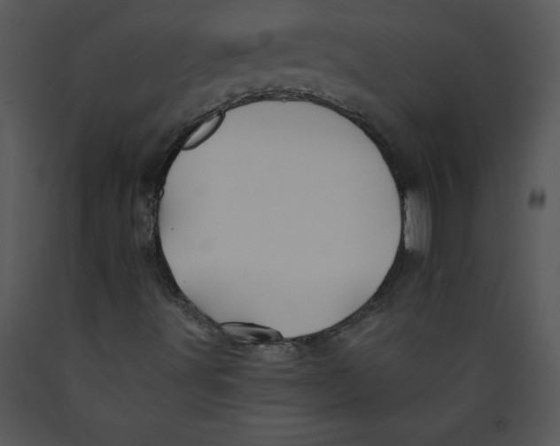 X0000089661491200707191637