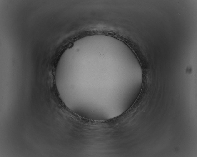 X0000089661493200707191637