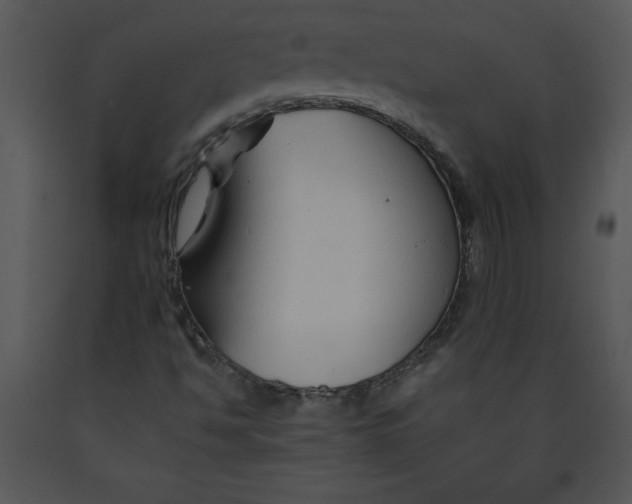 X0000089661494200707191637