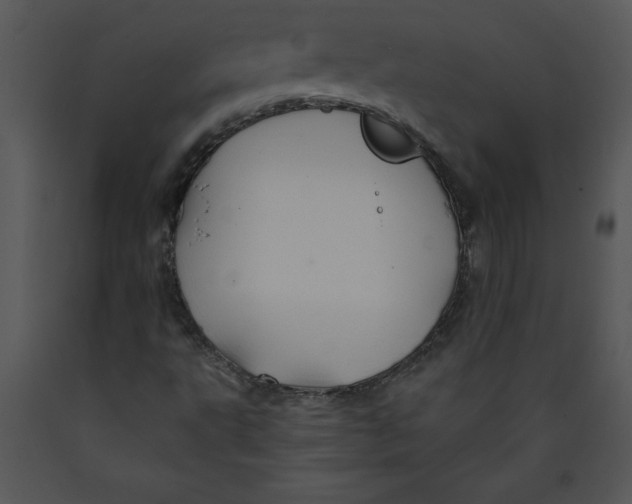 X0000089661495200707191637