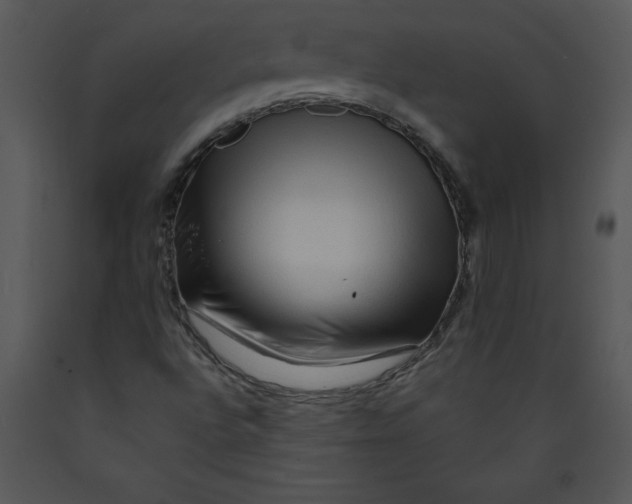 X0000089661496200707191637