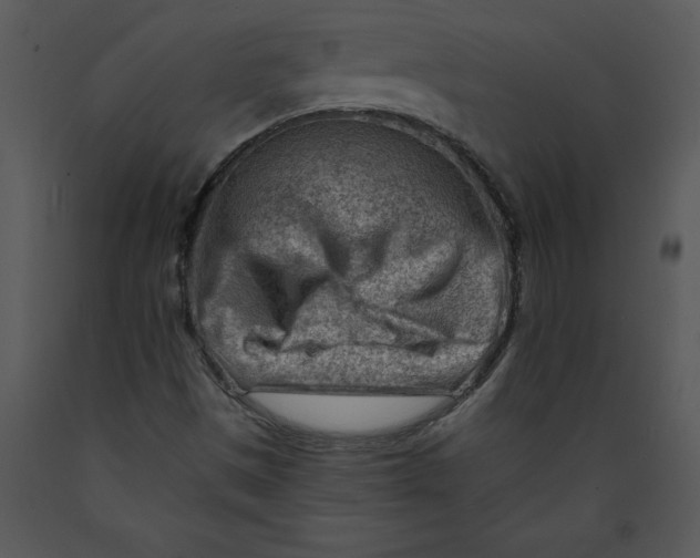 X0000089661497200707191637